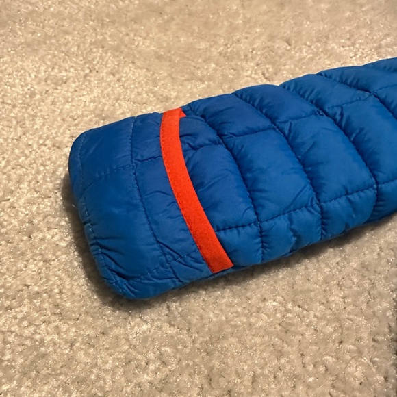 18M Snow Bunting - Picture 7 of 7